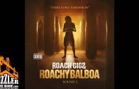 Roach Gigz Feat. Kool John „Crack A 40”