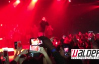 T.I. Brings Out Drake & P Reign In Toronto