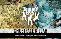 Ghostface Killah Feat. Pharoahe Monch „Emergency Procedure”